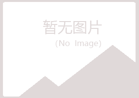 青铜峡紫山电讯有限公司